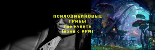 марки nbome Богданович