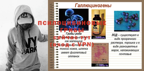 марки nbome Богданович