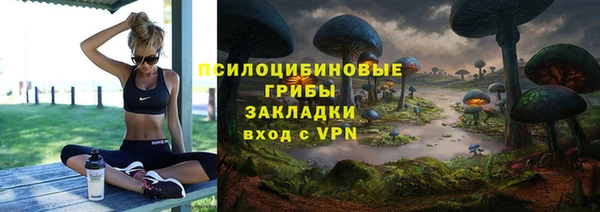 спайс Богородск