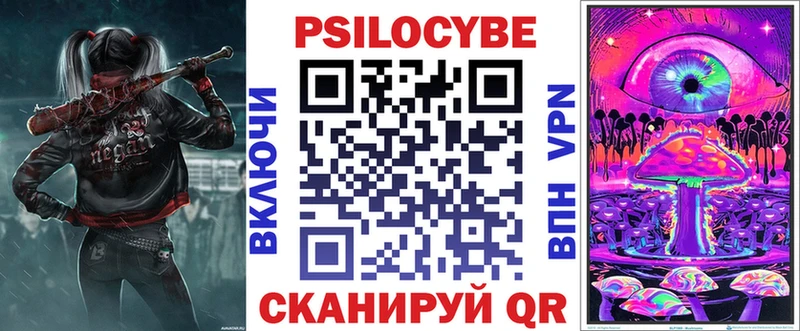 Псилоцибиновые грибы Psilocybine cubensis Балашов